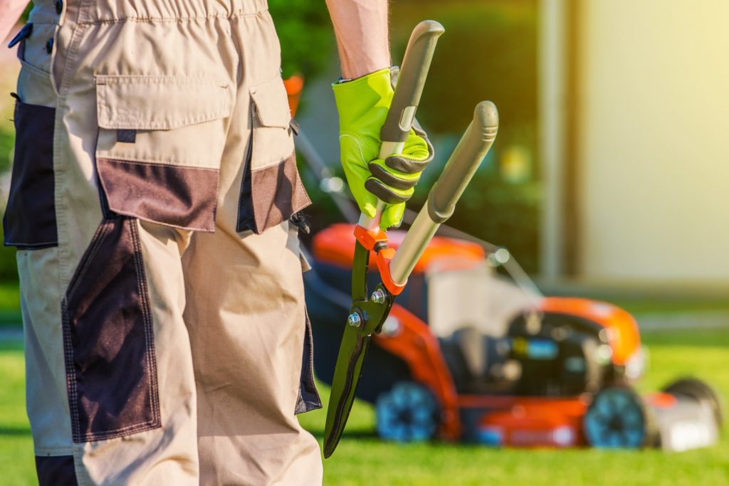 What To Look For in a Great Landscape Maintenance Contractor