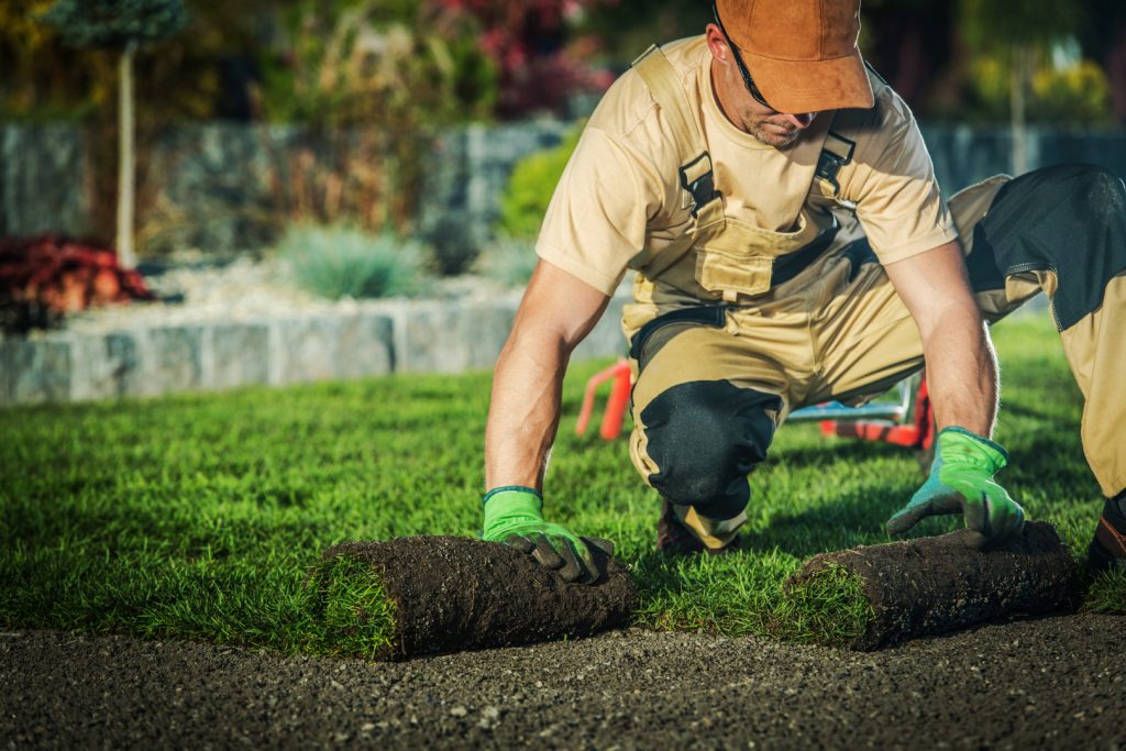 Planning Summer Landscaping for Your Business